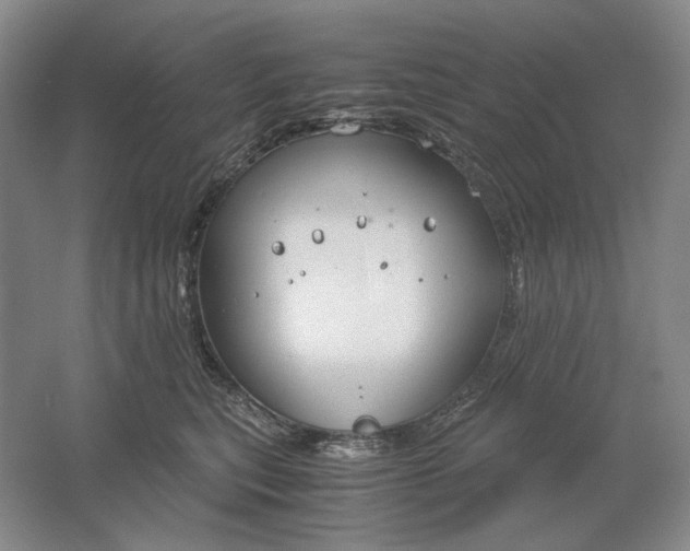 X0000061720567200512161558