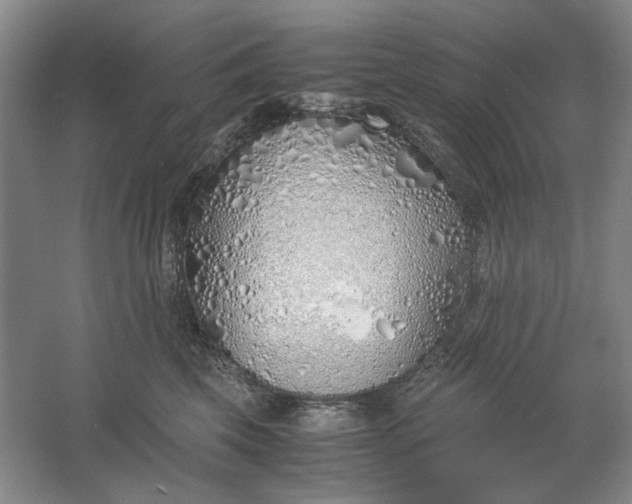 X0000061720569200512161558