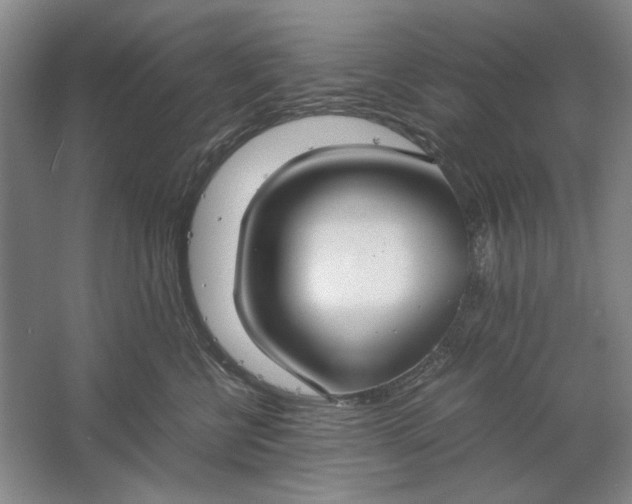 X0000061720570200512161558