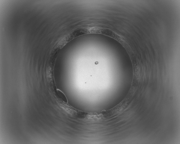 X0000061720571200512161558