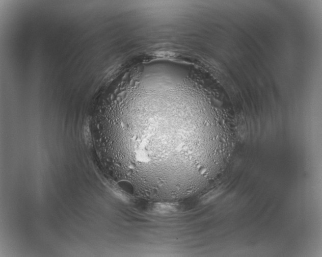 X0000061720573200512161558