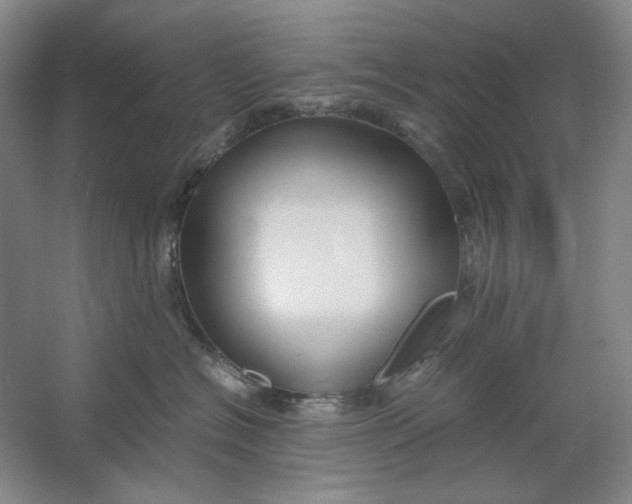 X0000061720574200512161558