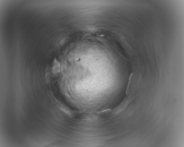 X0000061720576200512161558