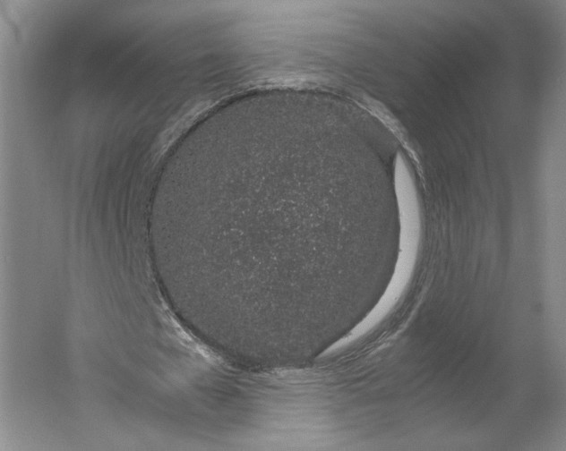 X0000061720577200512161557