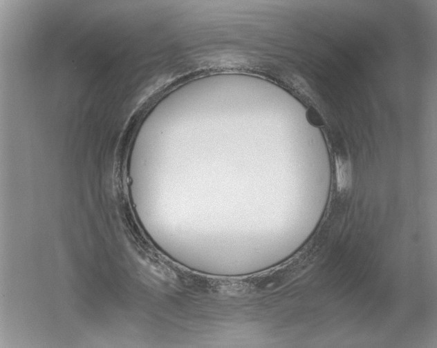 X0000061720579200512161557