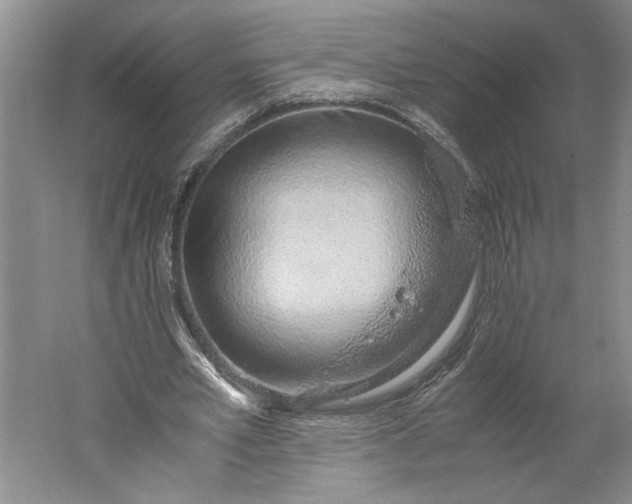 X0000061720581200512161557