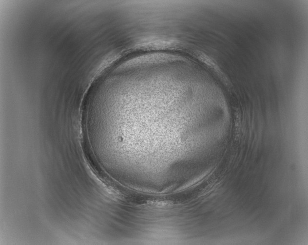 X0000061720582200512161557