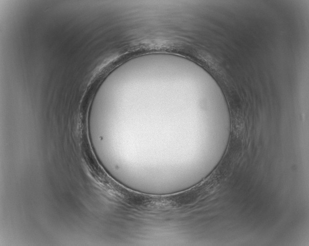 X0000061720583200512161557