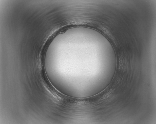 X0000061720584200512161557