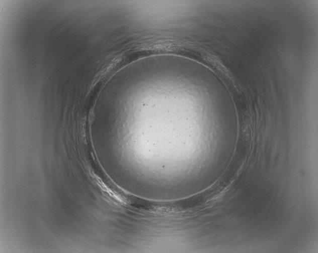 X0000061720585200512161557