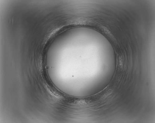 X0000061720588200512161557