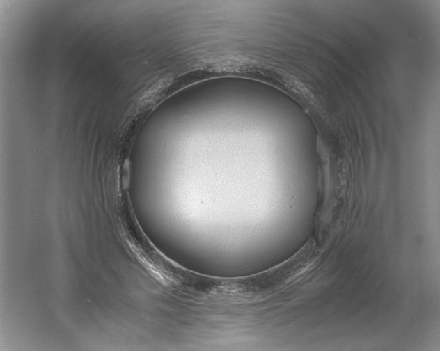 X0000061720589200512161557