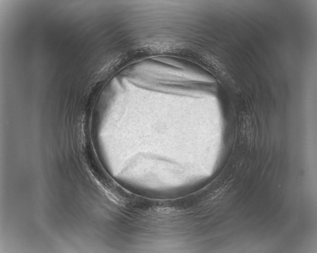 X0000061720590200512161557