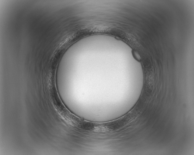 X0000061720591200512161557