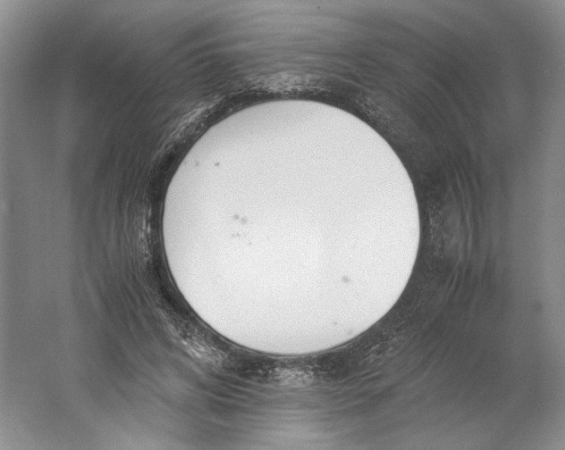 X0000061720592200512161557