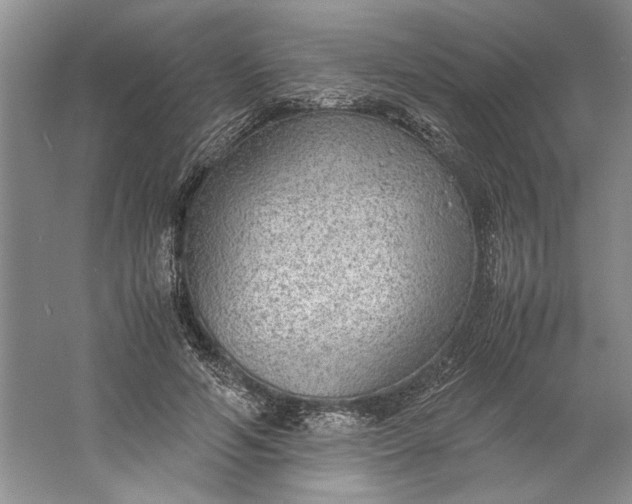 X0000061720594200512161557