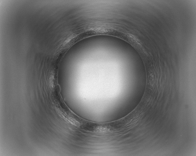 X0000061720596200512161557