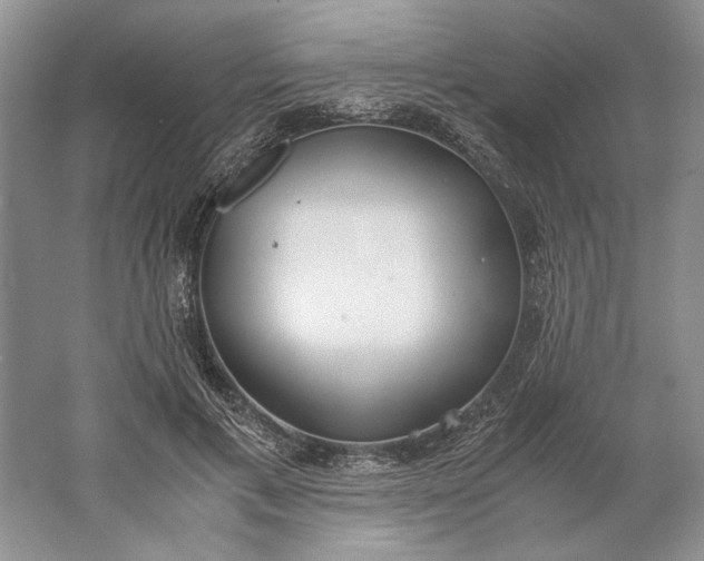 X0000061720597200512161557