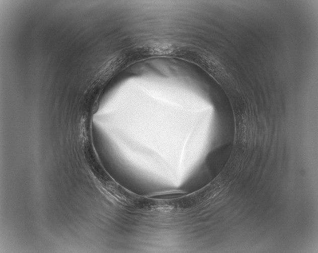 X0000061720598200512161557