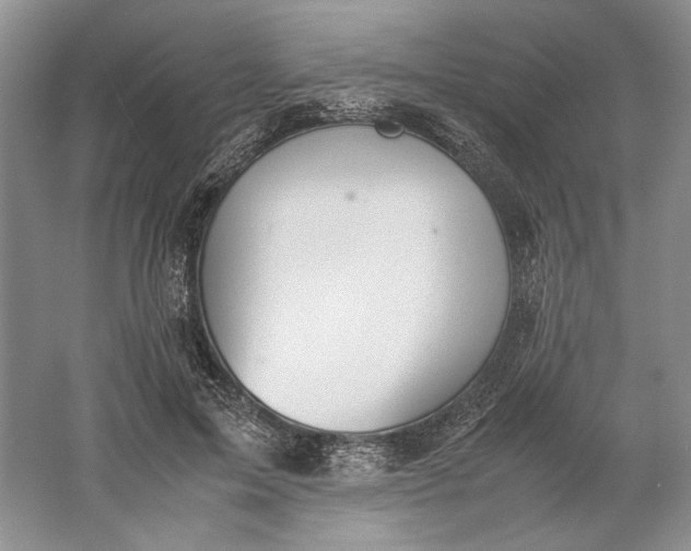 X0000061720599200512161557