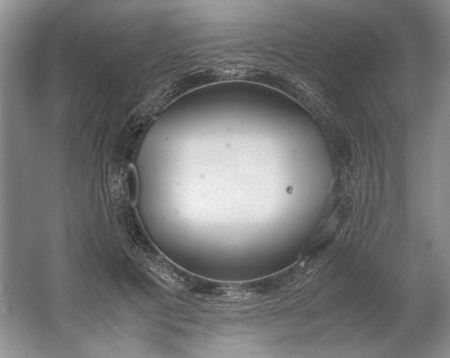 X0000061720601200512161557