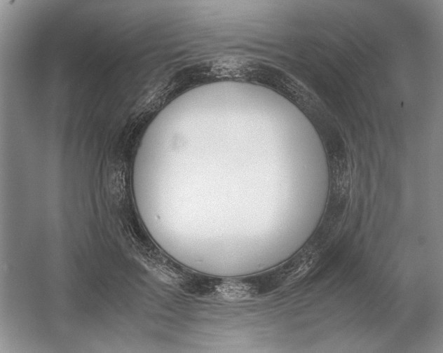 X0000061720603200512161557