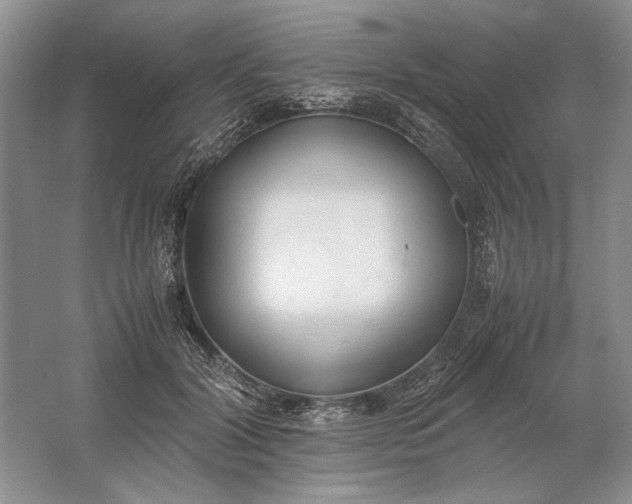 X0000061720604200512161557