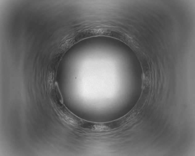 X0000061720605200512161557