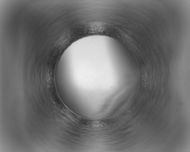 X0000061720608200512161557