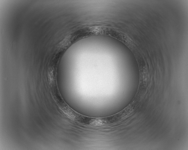 X0000061720611200512161557