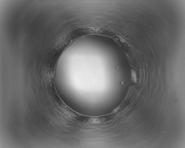 X0000061720613200512161557