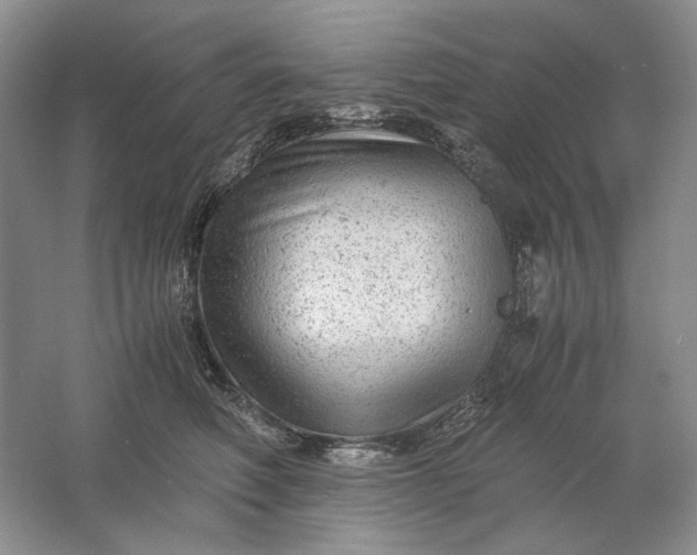 X0000061720614200512161557