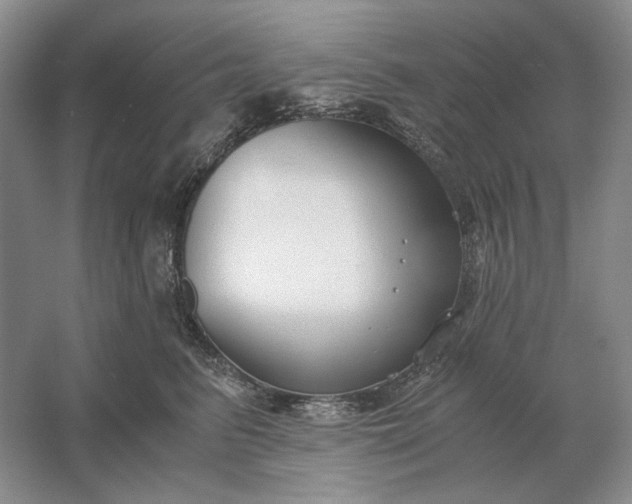 X0000061720615200512161557