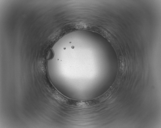 X0000061720616200512161557