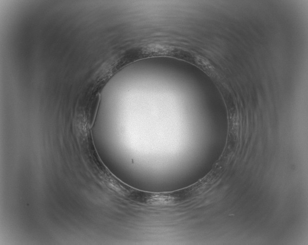 X0000061720617200512161557