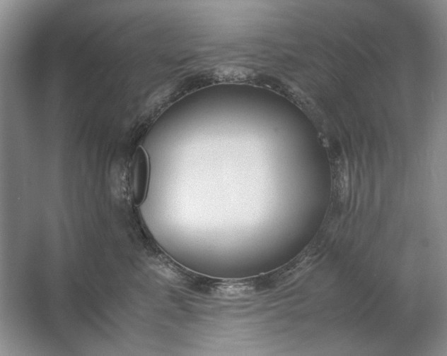 X0000061720619200512161557