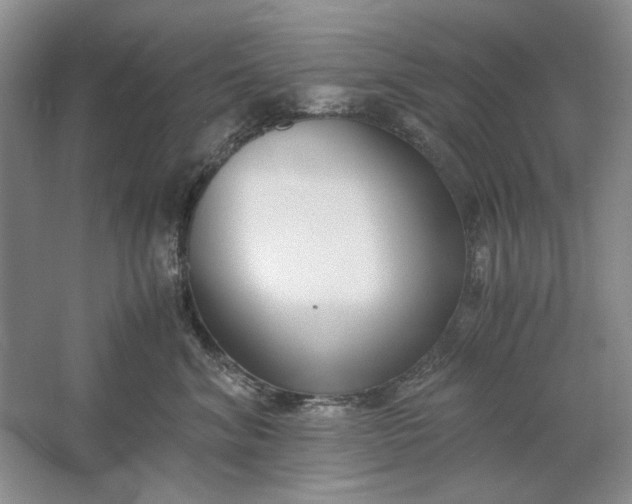 X0000061720620200512161557