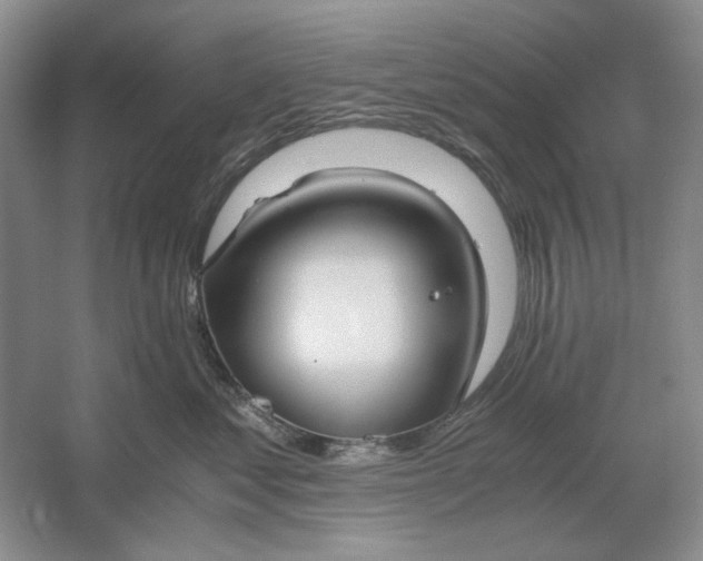 X0000061720621200512161557