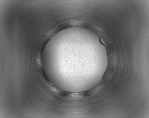 X0000061720622200512161557