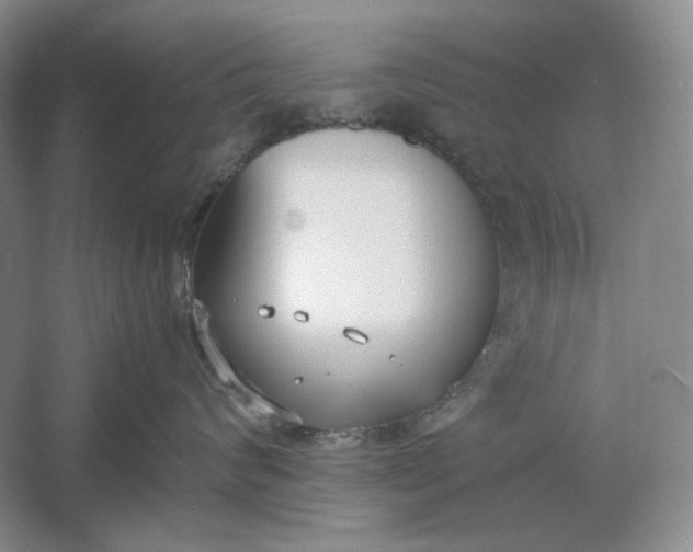 X0000061720624200512161557