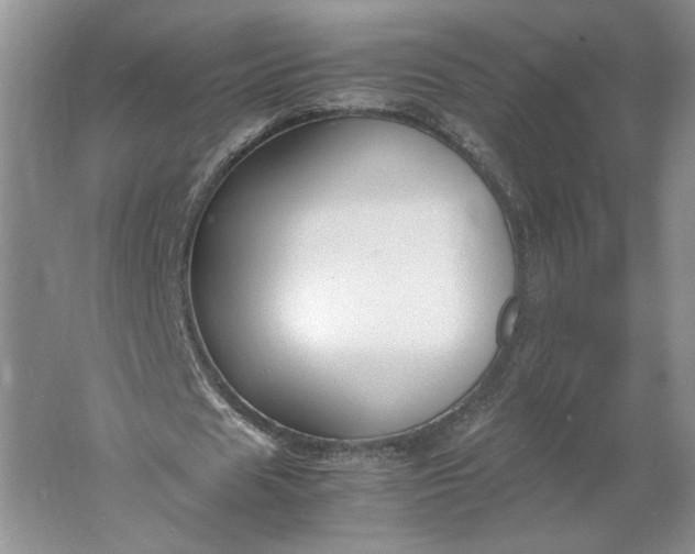 X0000061720625200512161556