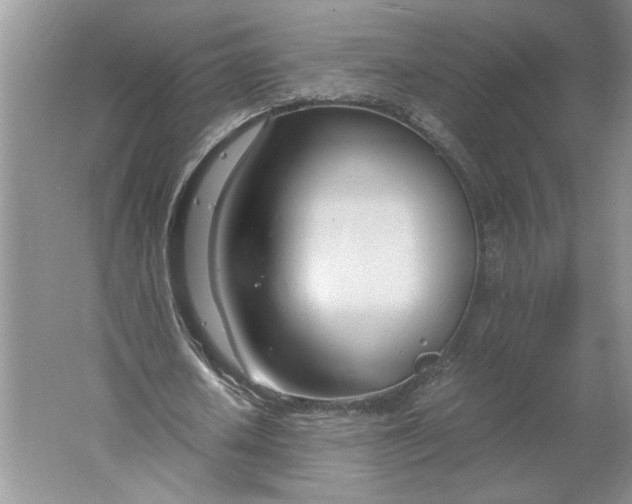 X0000061720626200512161556