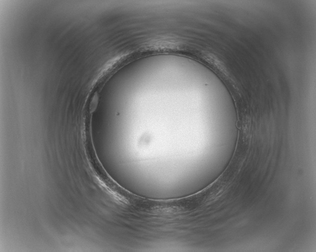 X0000061720629200512161556