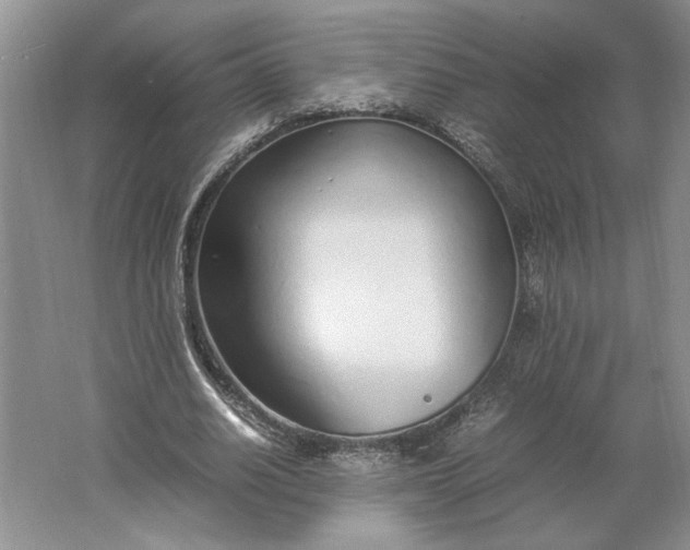 X0000061720630200512161556