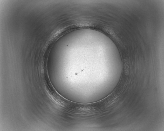 X0000061720631200512161556