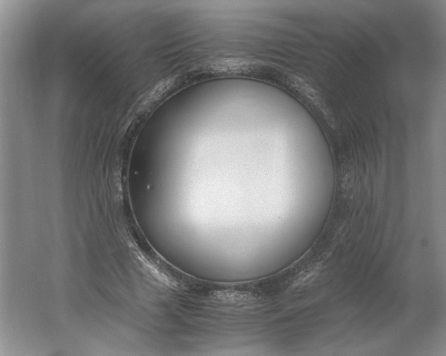 X0000061720633200512161556