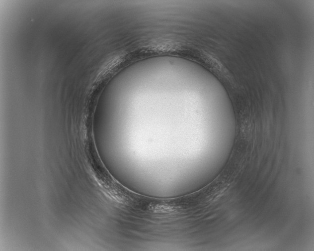 X0000061720635200512161556