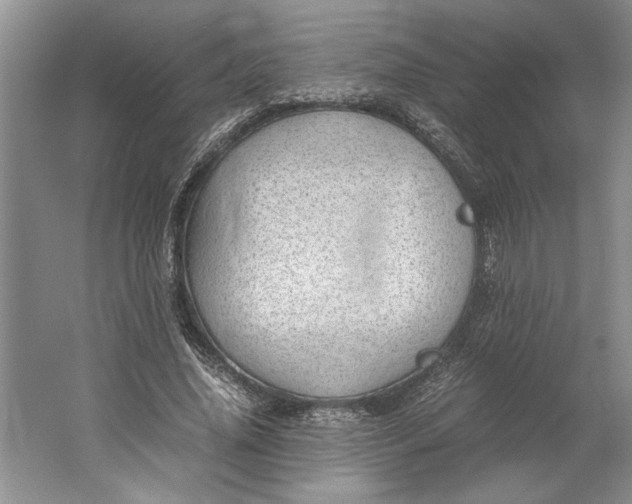 X0000061720636200512161556