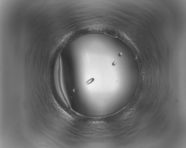 X0000061720637200512161556