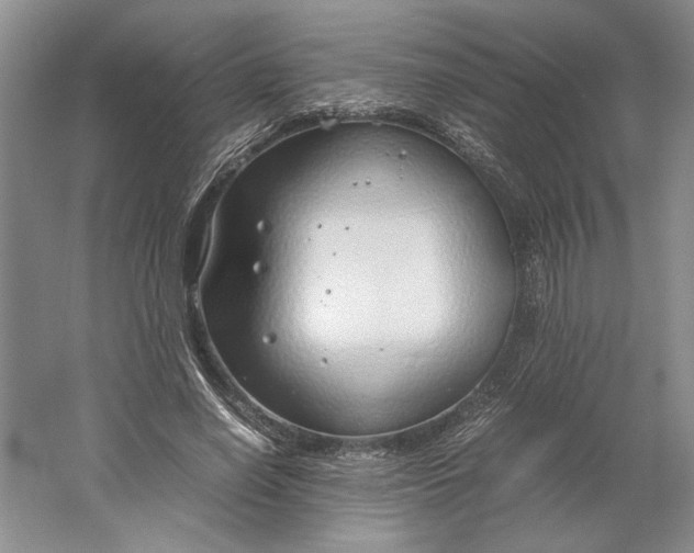 X0000061720638200512161556